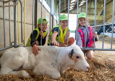 285 leerlingen uit Mol zetten melkveebedrijf Breykenshoeve op stelten