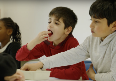 Aardbeien, van veld tot klas